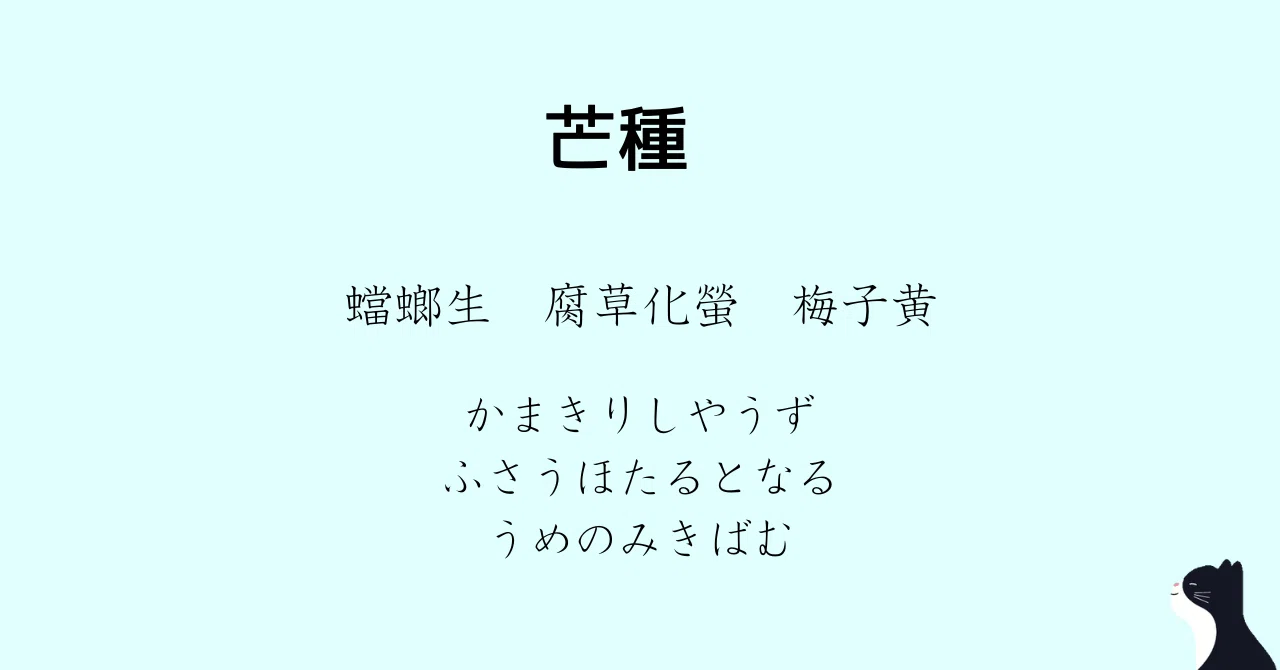 見出し画像