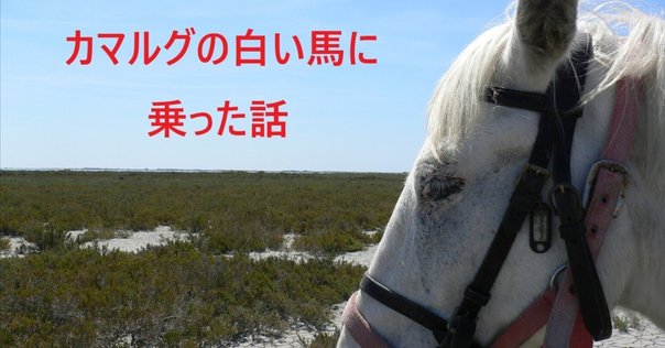 ニーチェの馬』（ハンガリー語: A torinói ló、英語: The Turin