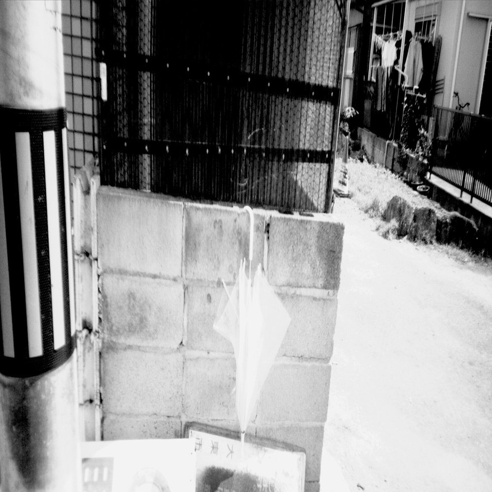 コスパ最強！ずっと使える「写ルンです」!?|Flashback ONE 35｜ちゅん