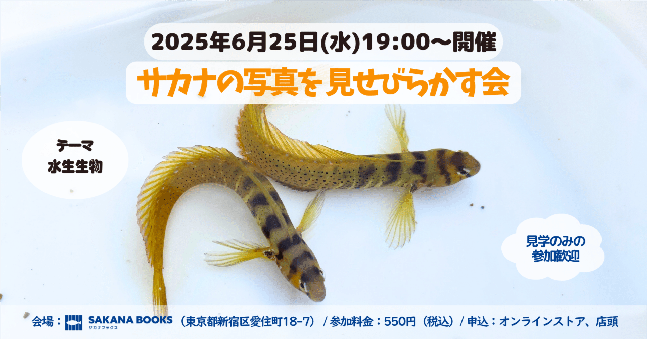 第4回サカナの写真を見せびらかす会🐟 開催！【6/25(水) 19:00～20:30