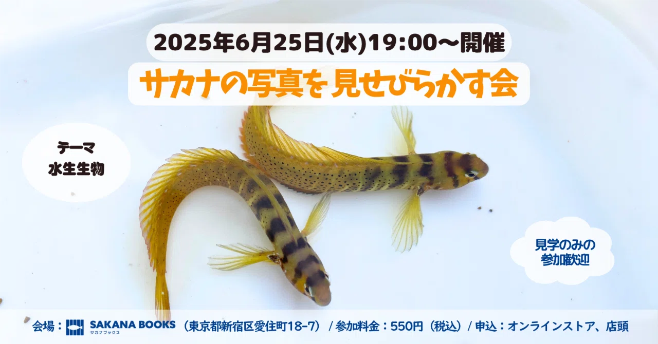 第4回サカナの写真を見せびらかす会🐟 開催！【6/25(水) 19:00～20:30