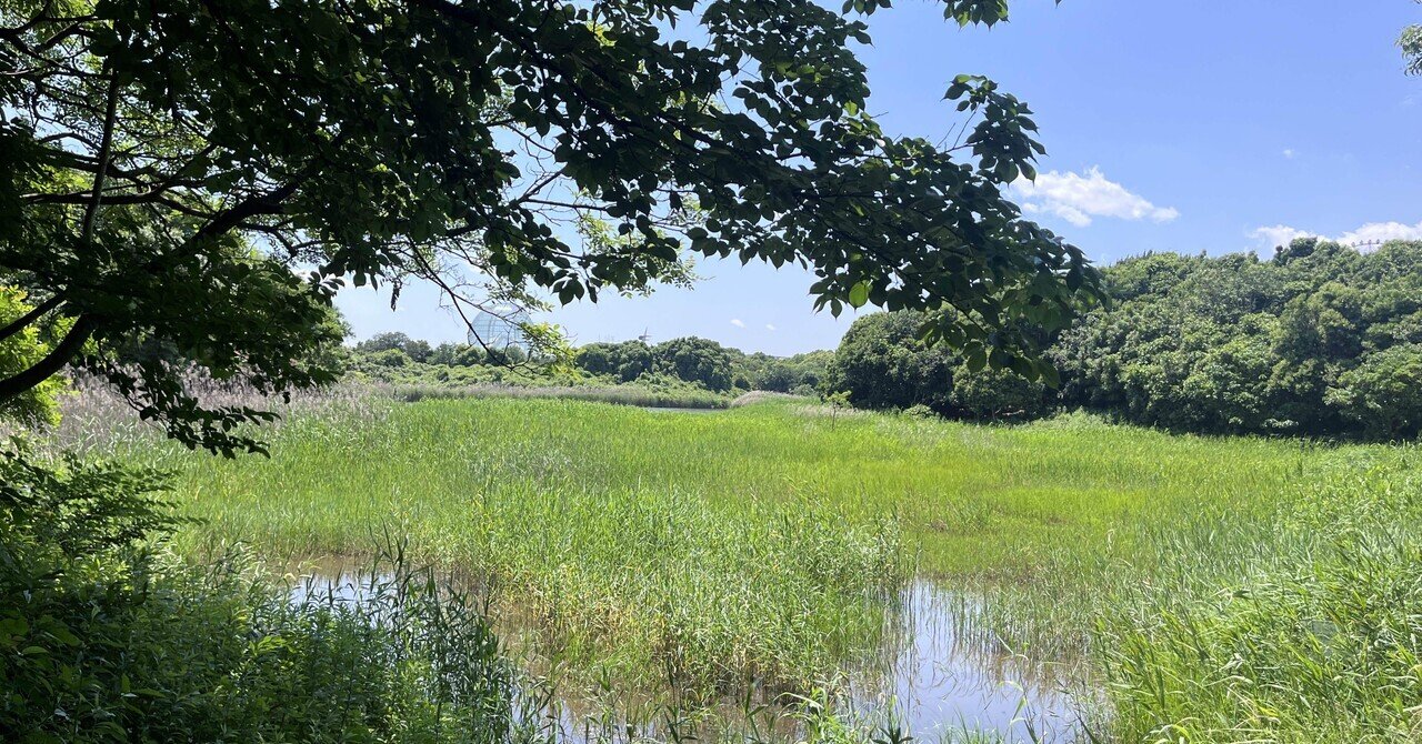 【自己紹介】ブラック企業で心を削られた僕が、3年で資産1000万円を築くまでエンジニア7号@資産形成・節約・投資・副業