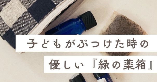 メッセゲ氏の薬草療法｜銀漢堂書林
