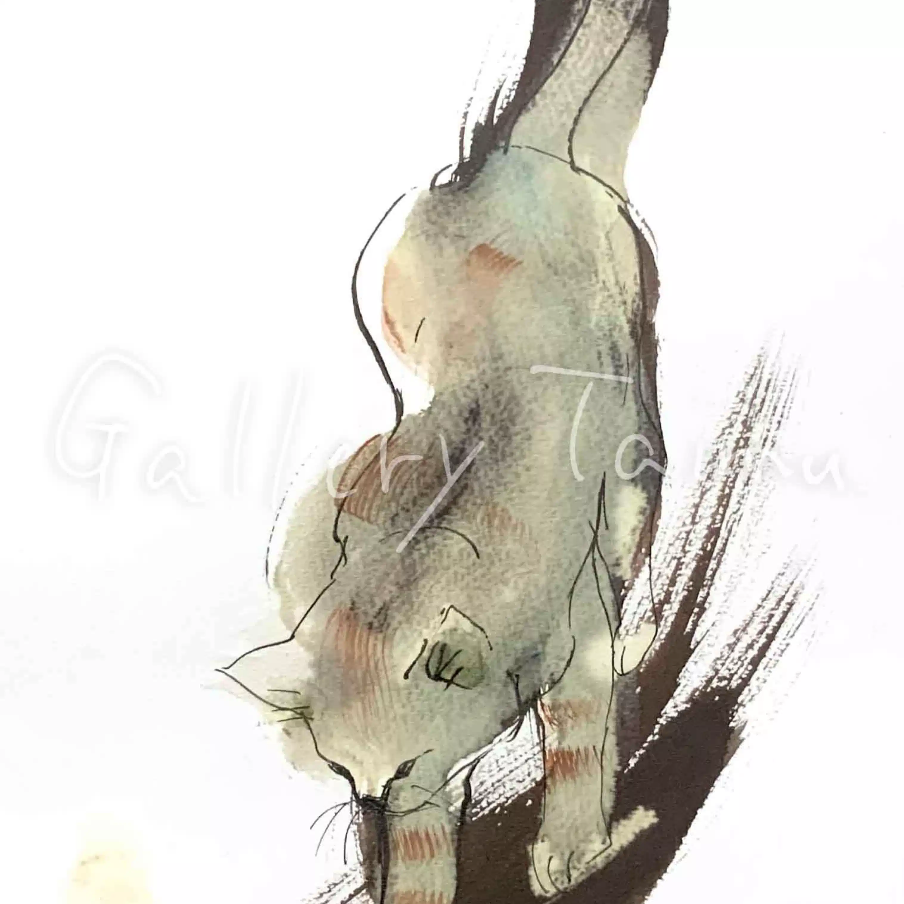 樹