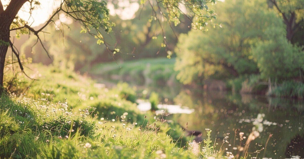 poco moon / ぽこむーん