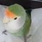 わた雲