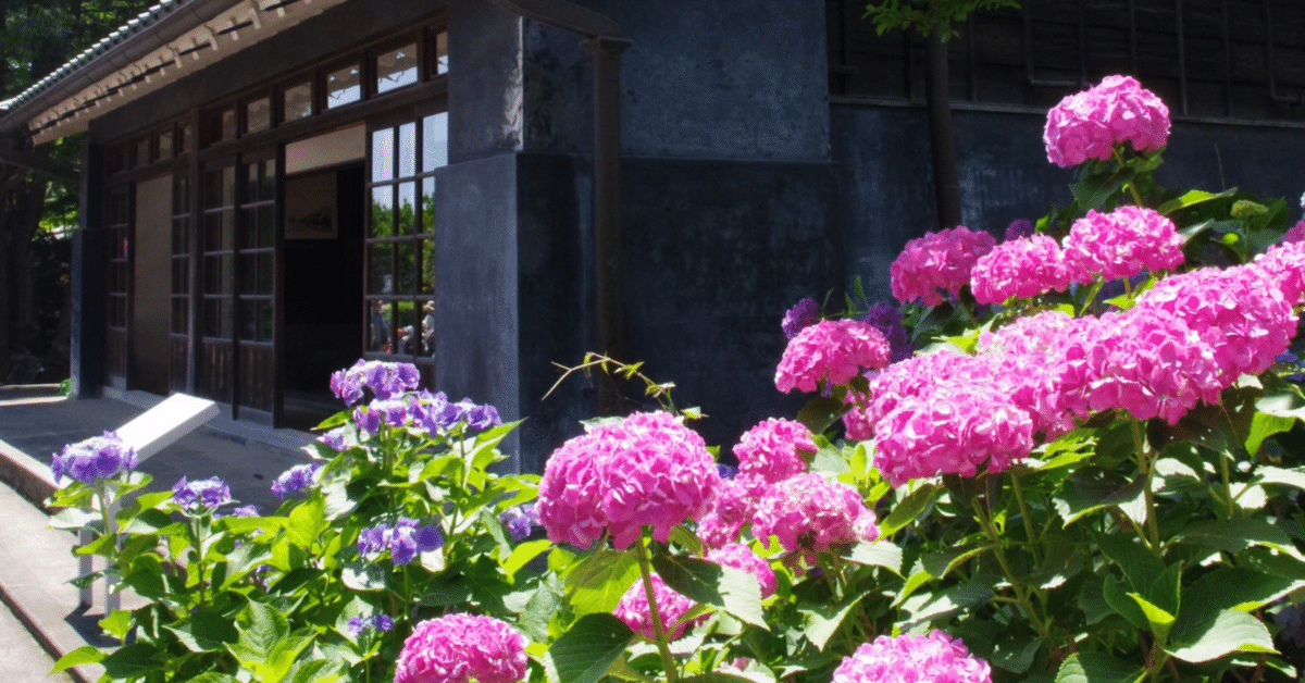 ぷうあ「紫陽花りリース~虹」「森のひと時~紅葉の中で」 IMG_4902-370x278.jpg