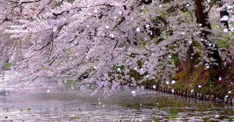 花さそふ荒らしの庭の雪ならでふりゆくものはわが身なりけり Hiroshi Matsuura Note 花さそふ荒らしの庭の雪ならでふりゆくものはわが身なりけり Hiroshi Matsuura Note