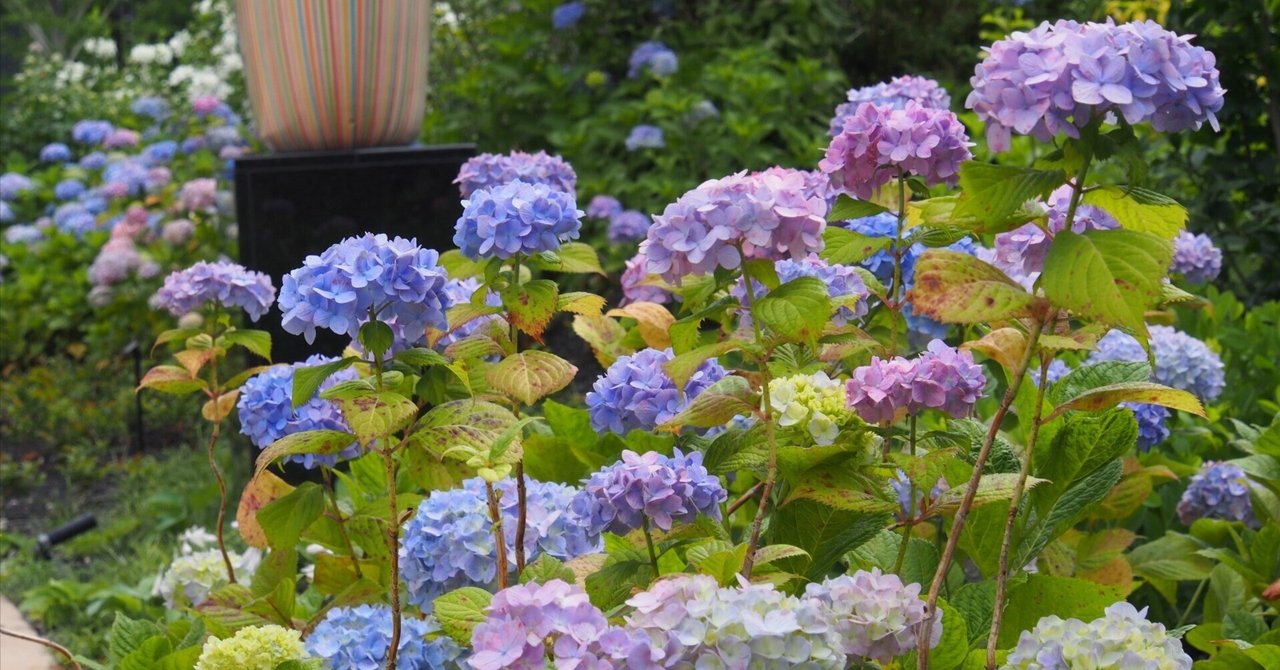 rectangle_large_type_2_3c91461