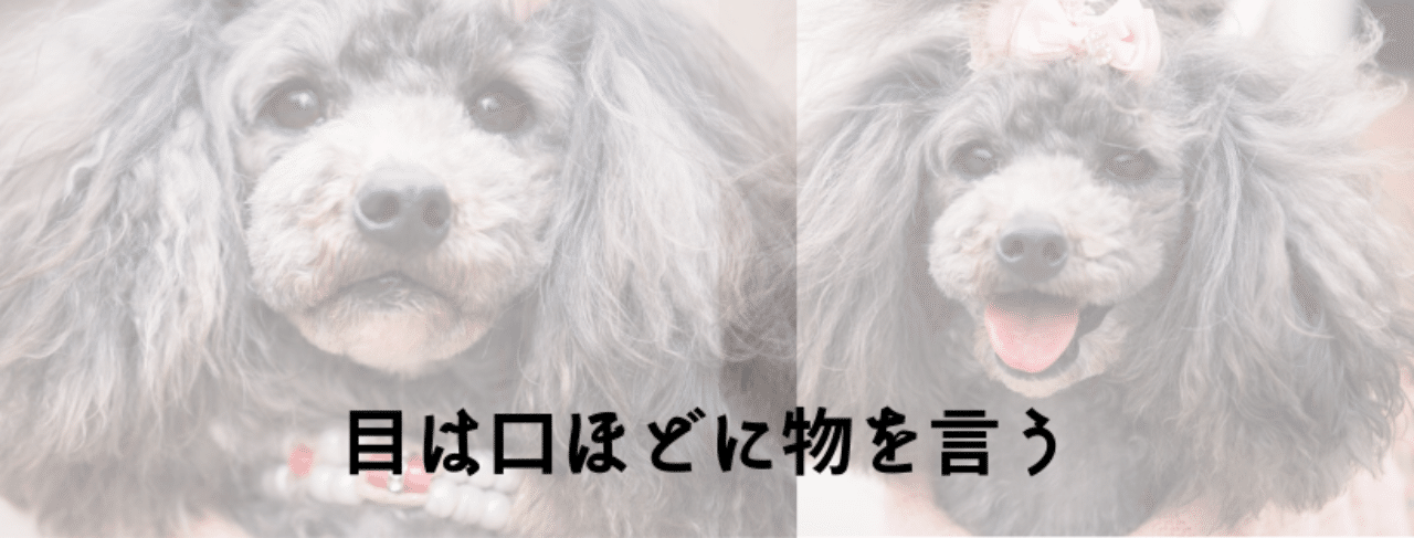 目は口ほどに物を言う ごとぅー Note 目は口ほどに物を言う ごとぅー Note