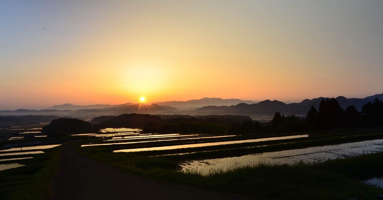 満身創痍山川博士/filmphotographer俺は芸術王になる