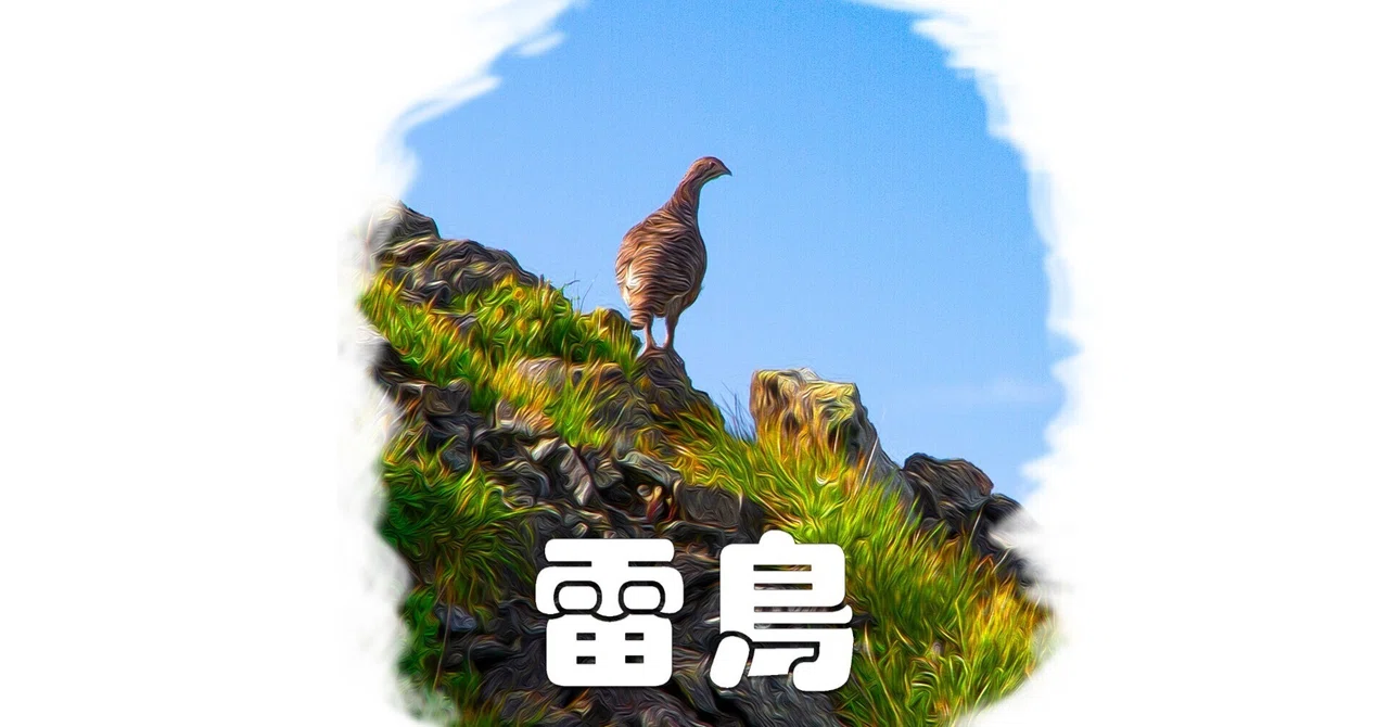雷鳥(油彩風)|taka 雷鳥(油彩風)|taka