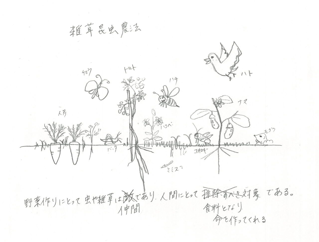 雑草昆虫農法とは えと菜園コトモファーム Note