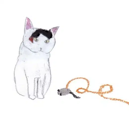 ３階のネコ
