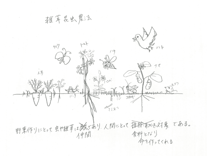 雑草昆虫農法とは えと菜園コトモファーム Note
