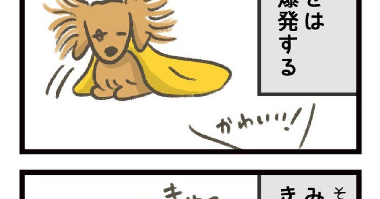 髪の長い犬あるある じろさん Note