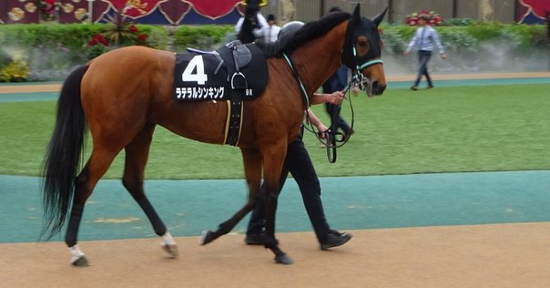 【中古】 ＰＯＧ（ペーパーオーナーゲーム） ２００１/競馬通信新社/競馬通信社 楽天ブックス: POG（ペーパーオーナーゲーム）（2001） - 競馬