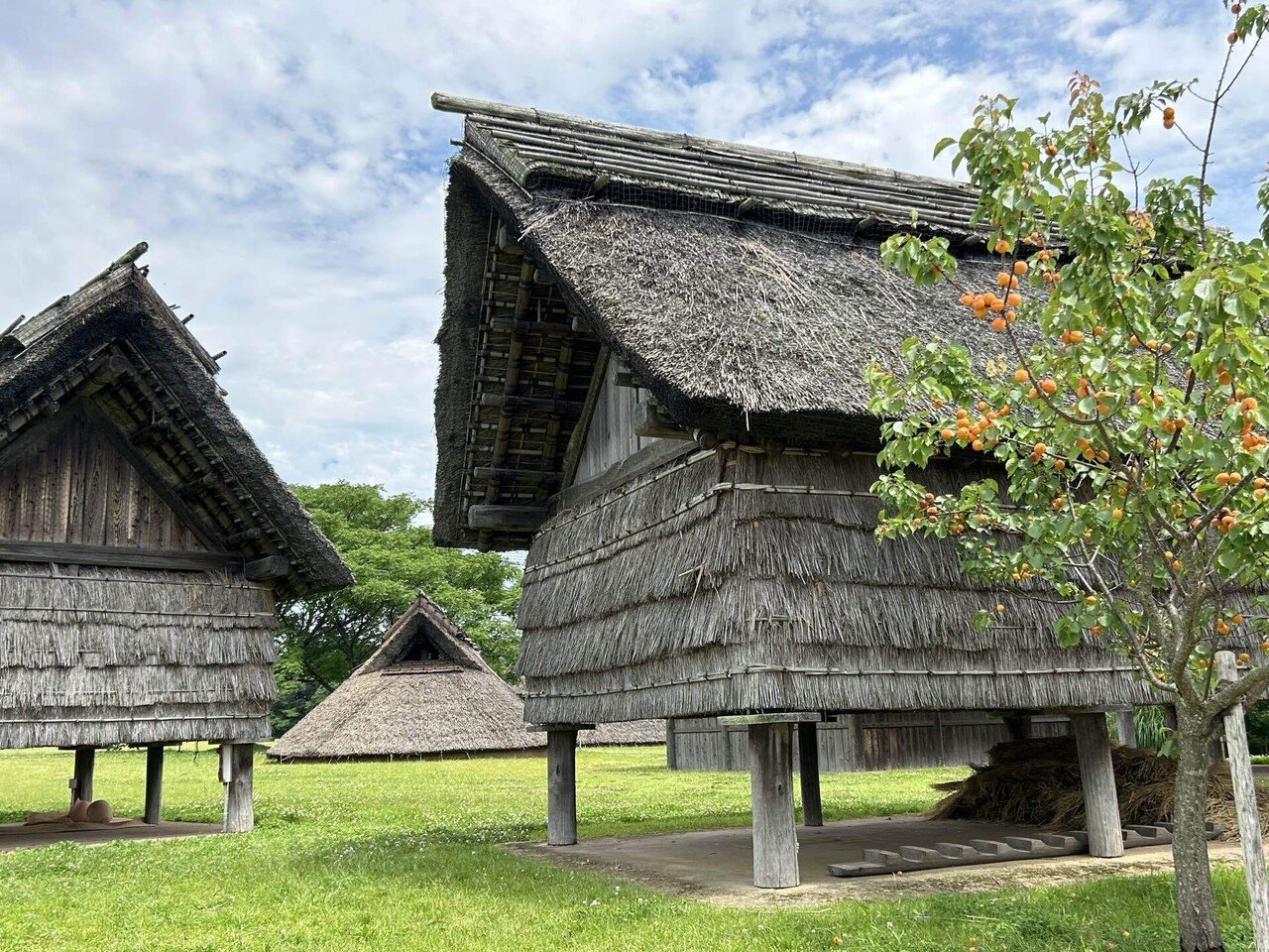 弥生人】佐賀県の謎なおでかけ1☆ムラの発展がわかる吉野ヶ里遺跡｜謎