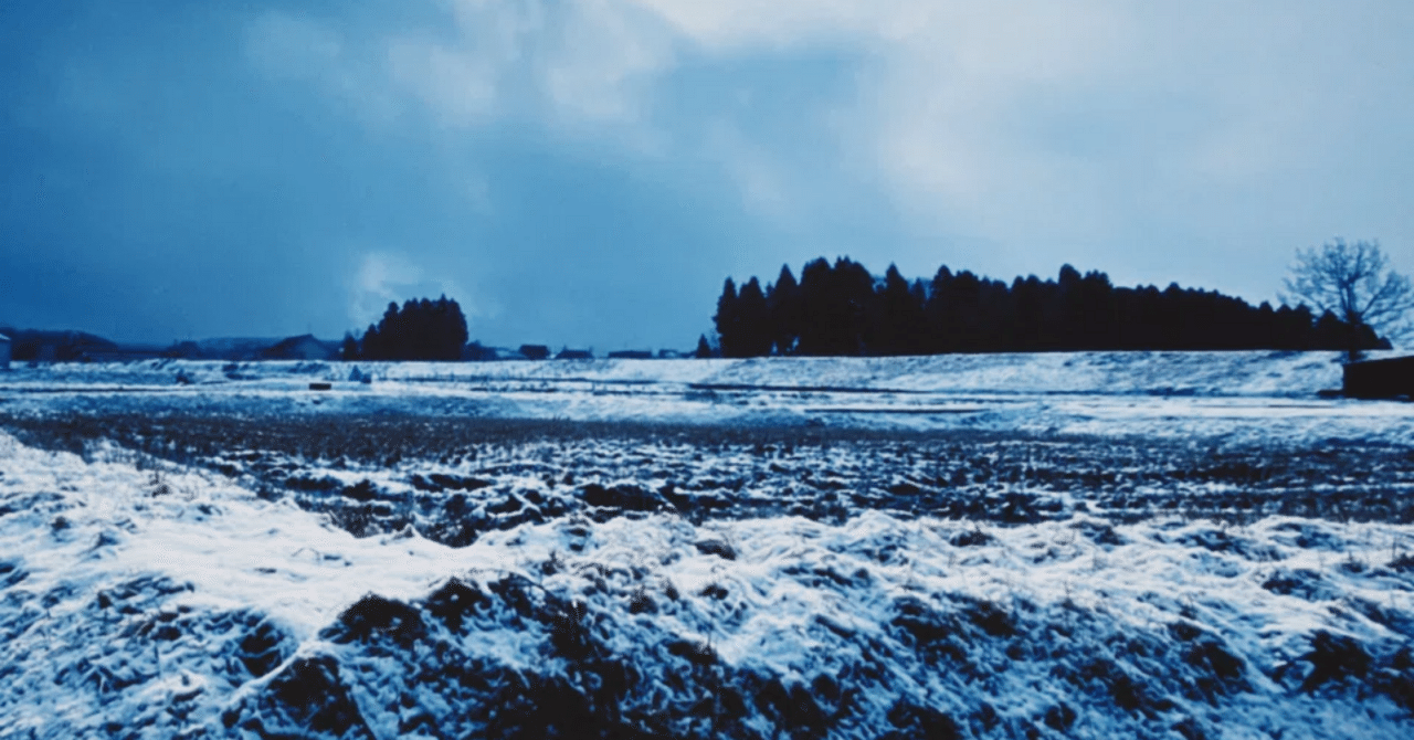 【体験談】冷凍庫の倉庫で働いてきました!想像以上の過酷さに驚き…朝鮮人くん