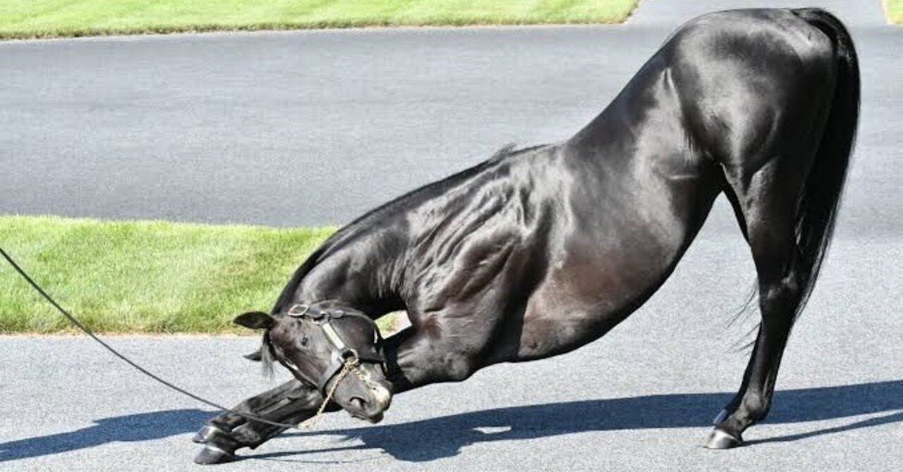 2025年 新種牡馬紹介｜mokomoko競馬研究所