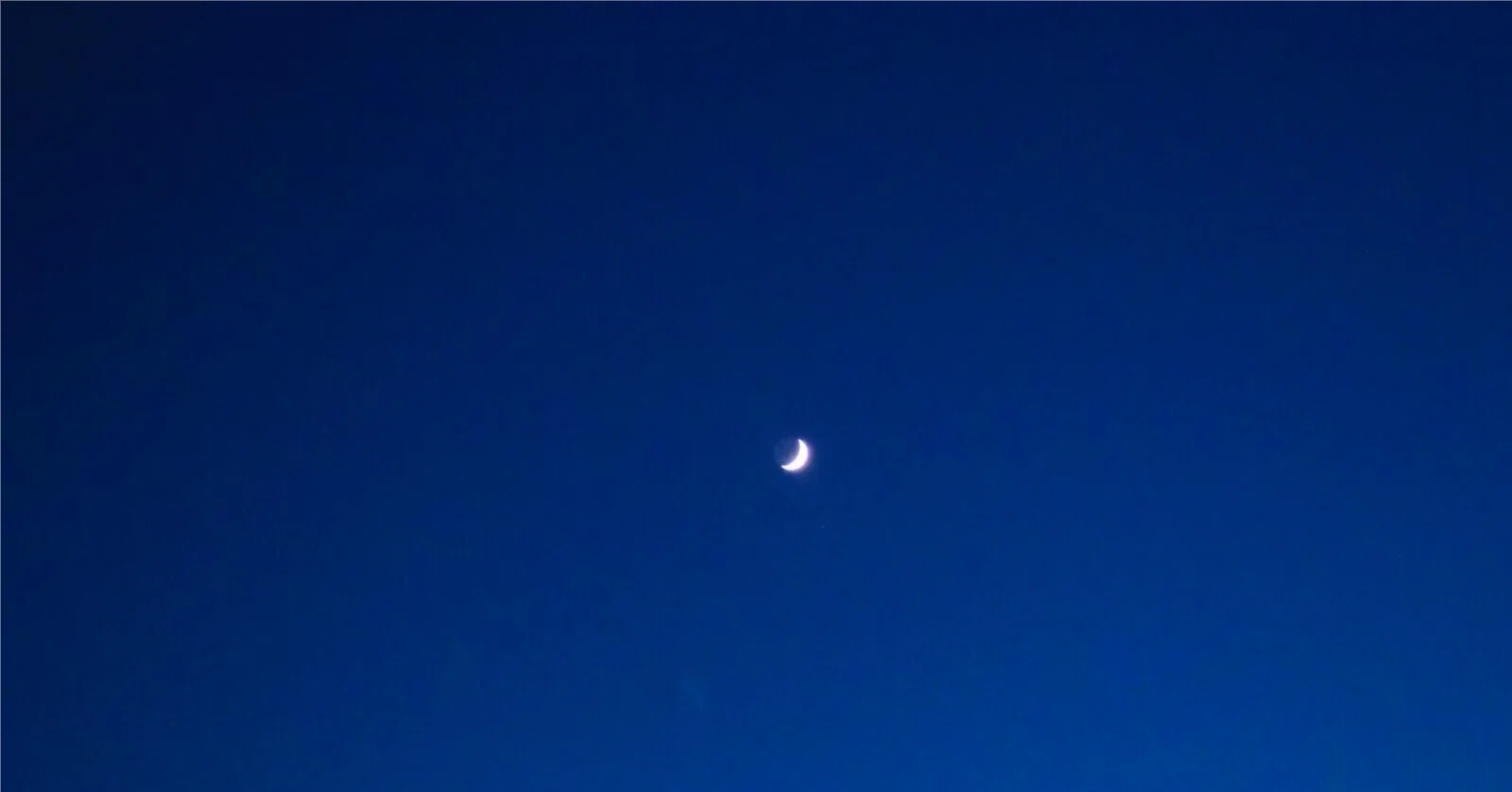 それでも 誰か に 見つけ て 欲しく て
