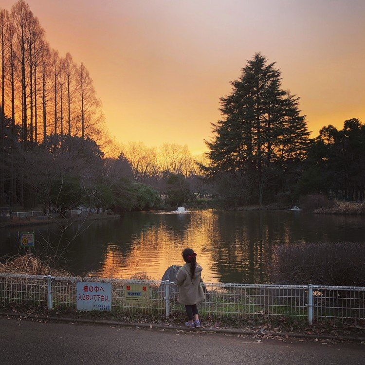 土曜日も朝から公園遊びしていたのですが、夕方の所沢航空公園、夕焼けが綺麗でした。みーと一緒に、こうやって綺麗な夕陽を眺められるのも、人生の楽しみの一つだなー。