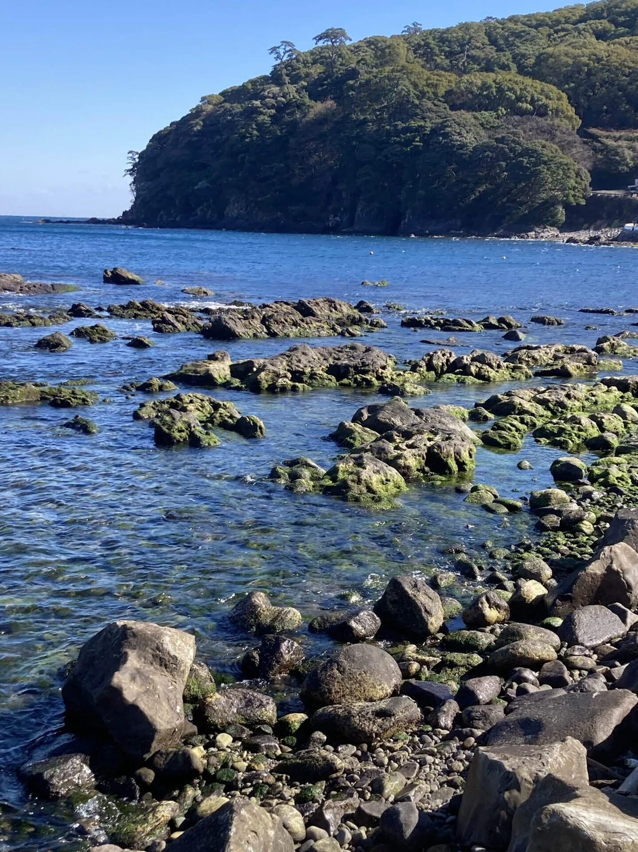 02｜海が正直苦手だったけど、『真鶴』の海は平気だった話｜まるすけ