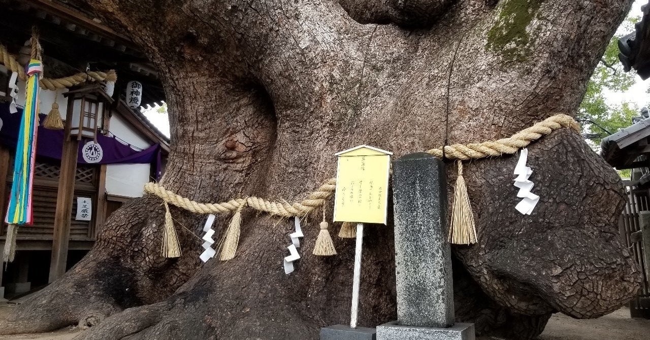 大阪1番の大楠さま｜神様とつながる⛩ご神木＆ご神水ソムリエ香坂琉月