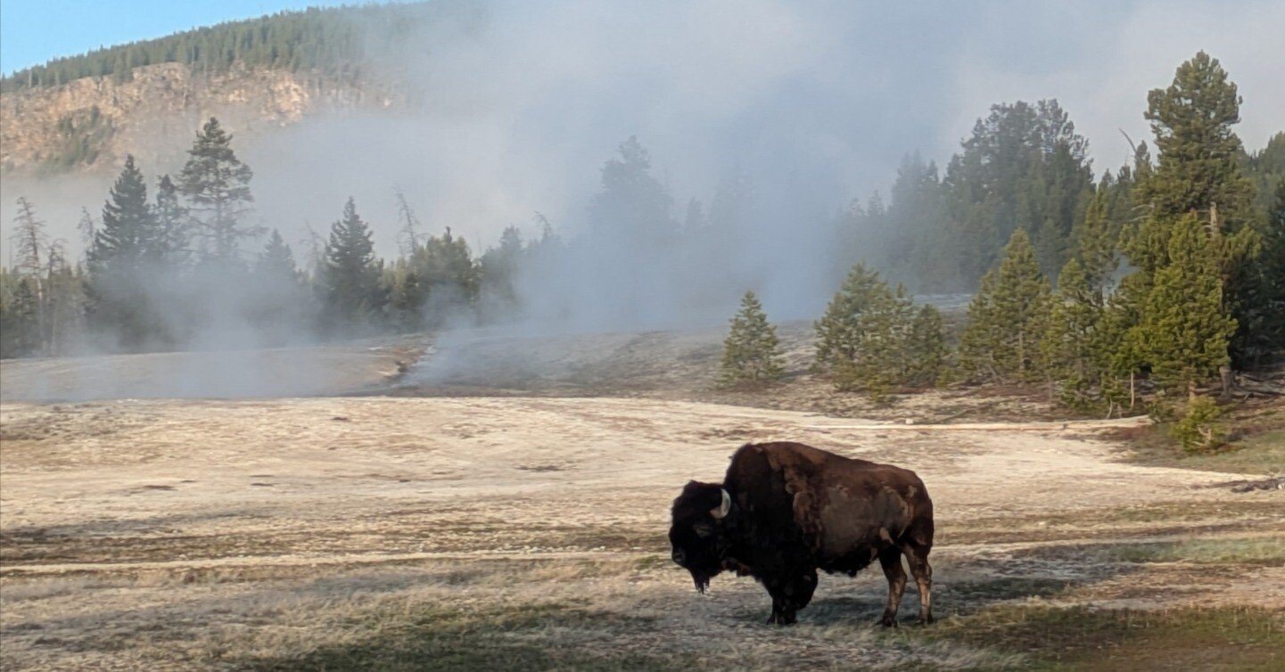 761da2dc72b3c58a65aeafdf4098e8