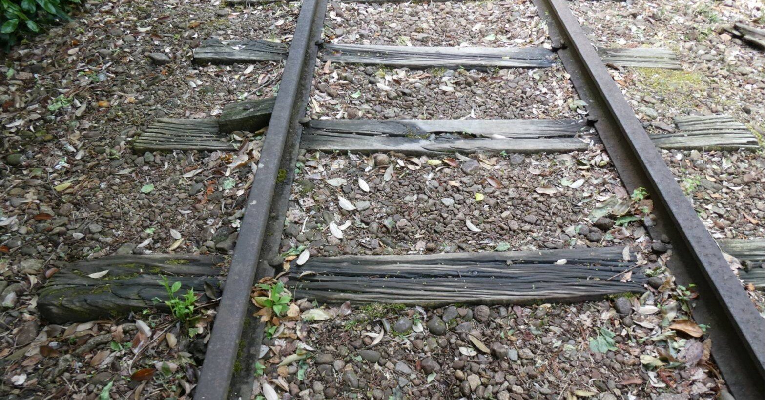 旧国鉄倉吉線の廃線のレールの上を歩く｜saku