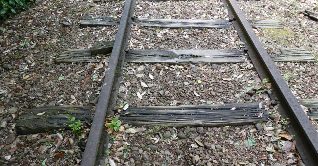 国鉄　レール　線路　本物 旧国鉄倉吉線の廃線のレールの上を歩く｜saku