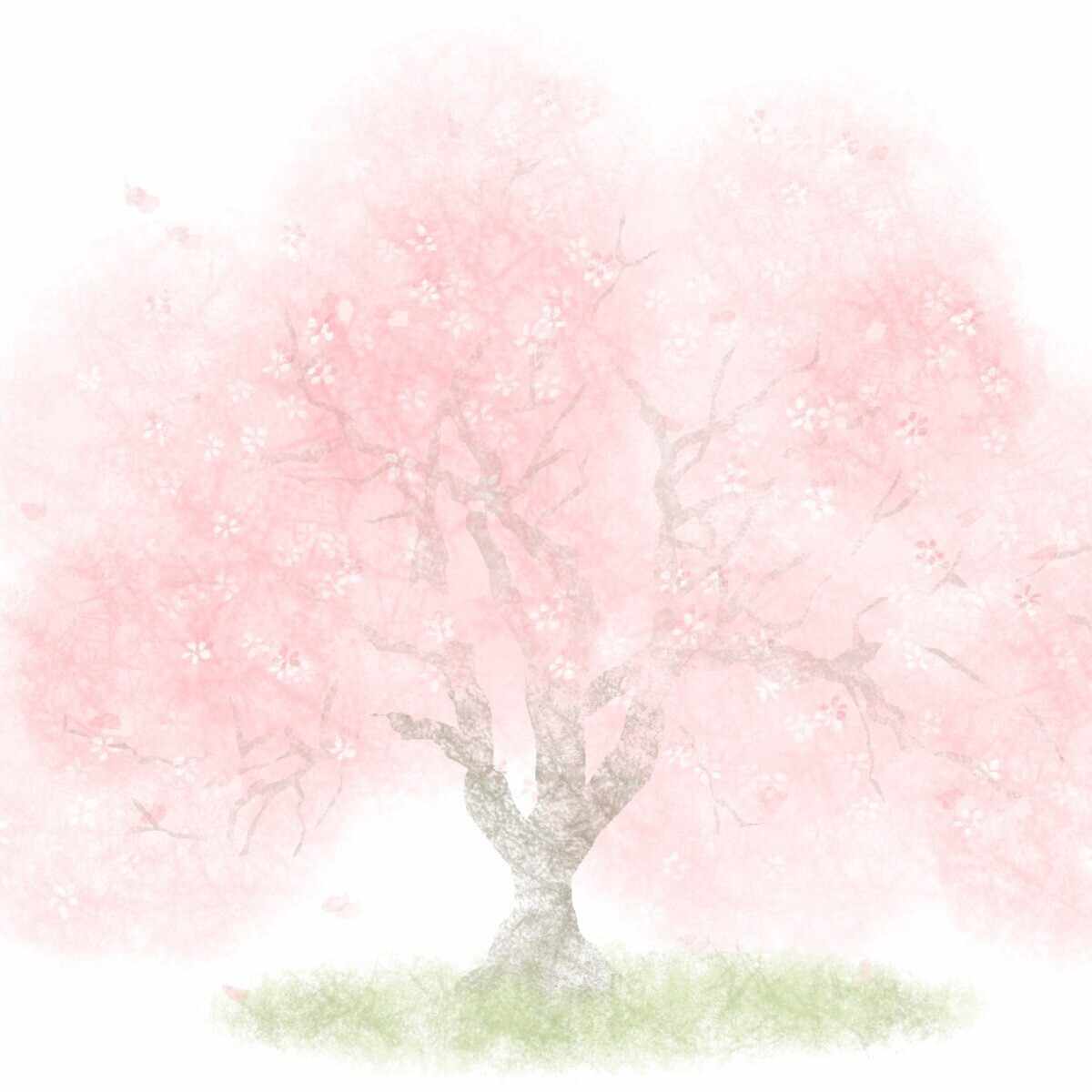 あかみねとものり