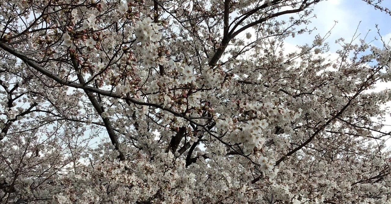 ブランド礼賛・ショートショート「キットカット」――絆の欠片野球フクノスケ