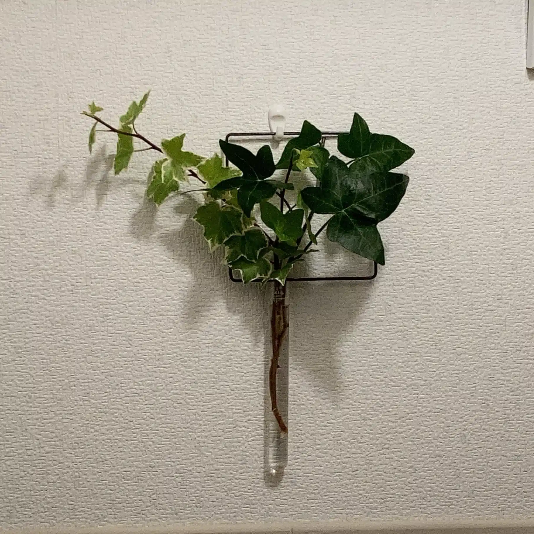 七転び八起き
