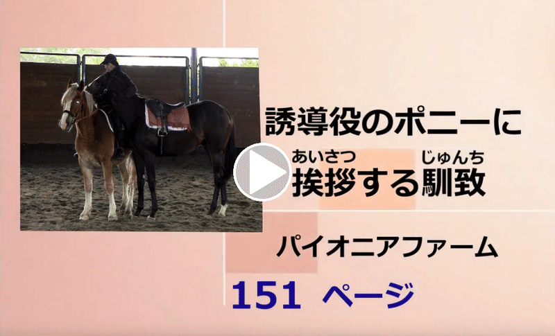 動画 誘導役のポニーに挨拶する馴致 じゅんち Jrdb 競馬アラカルト Note 動画 誘導役のポニーに挨拶する馴致 じゅんち Jrdb 競馬アラカルト Note