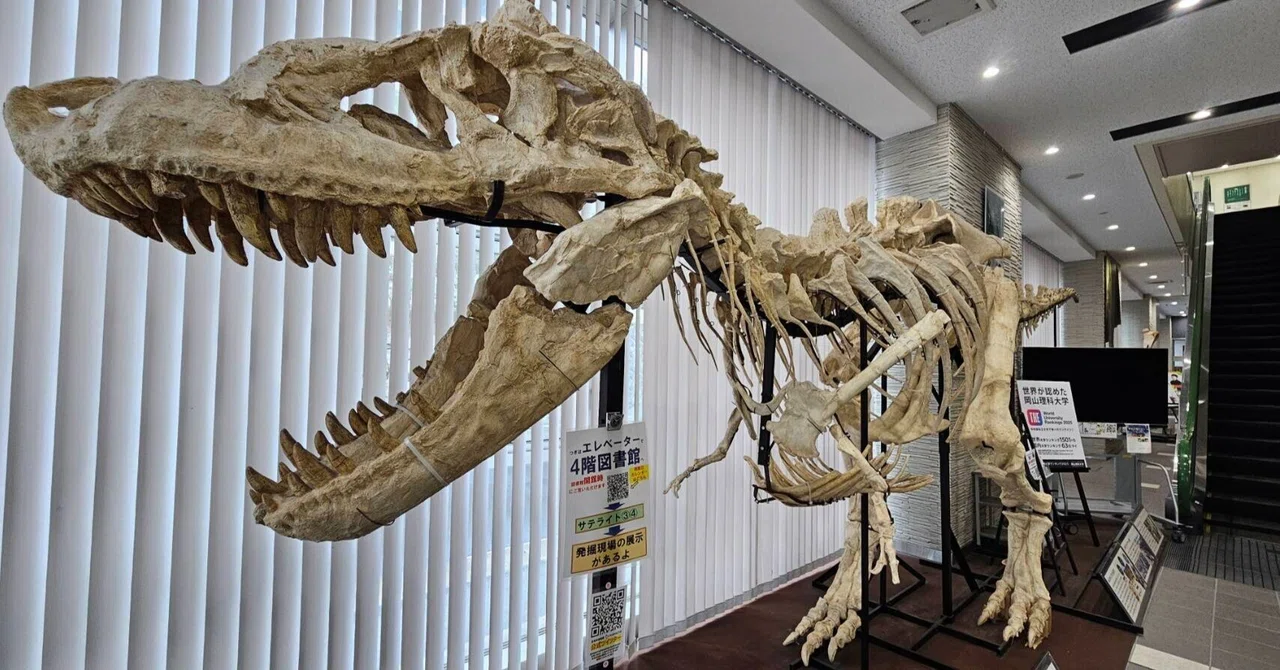 全国自然博物館の旅【63】岡山理科大学恐竜学博物館｜美原さつき