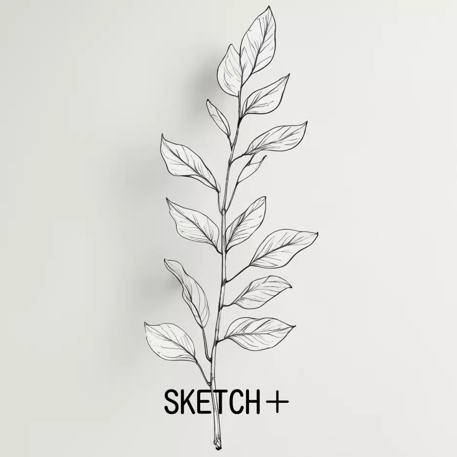 SKETCH＋（スケッチ・プラス）