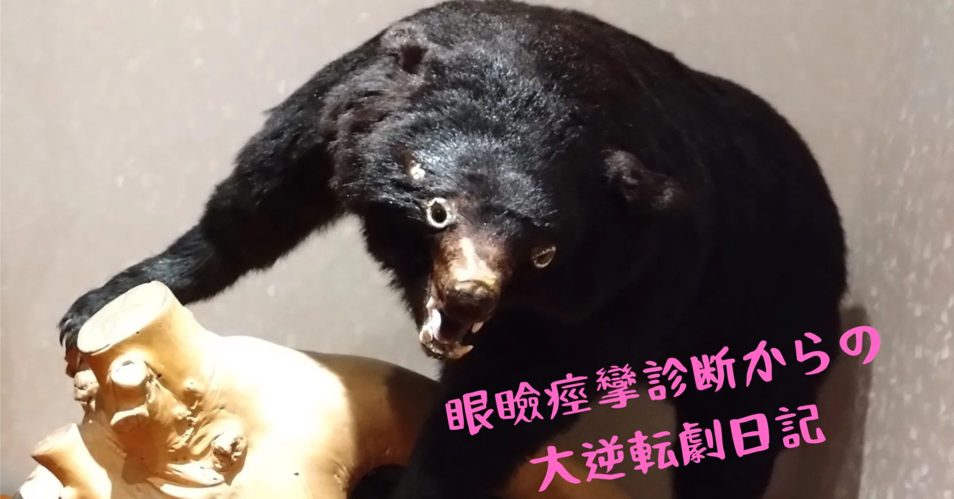 Vol.92 ～クマと至近距離遭遇の危機！！【上高地2日目】～｜シゴトスキー