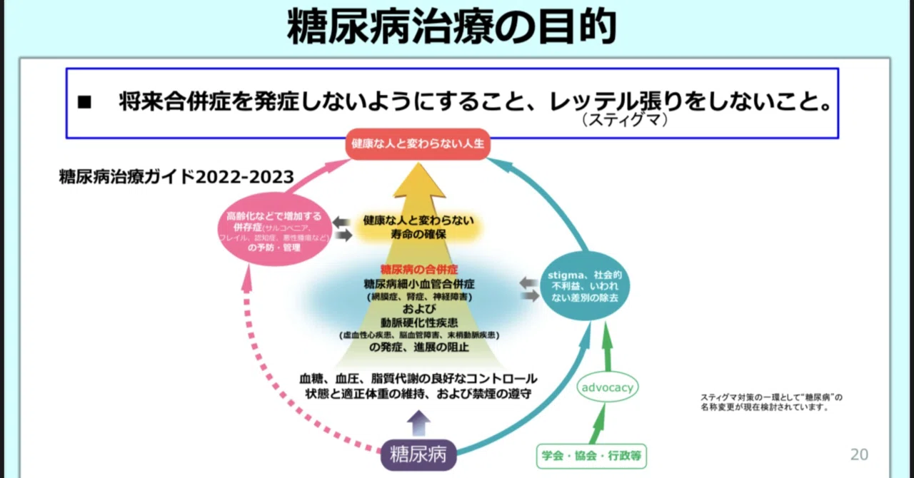 糖尿病 統合治療へのアプローチ 糖尿病治療薬フローチャート（私見）