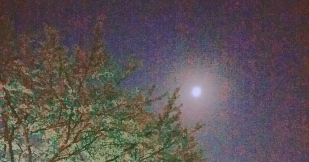 夜景２