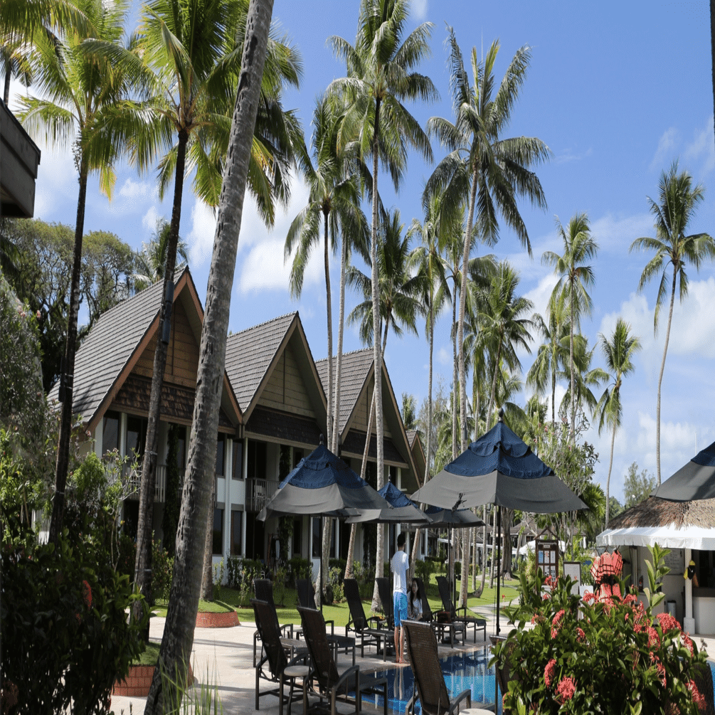 パラオ共和国　最高裁判所　判例集 PALAU パラオの知的財産法をみてみる｜海外法を学んで海外気分！｜Takao