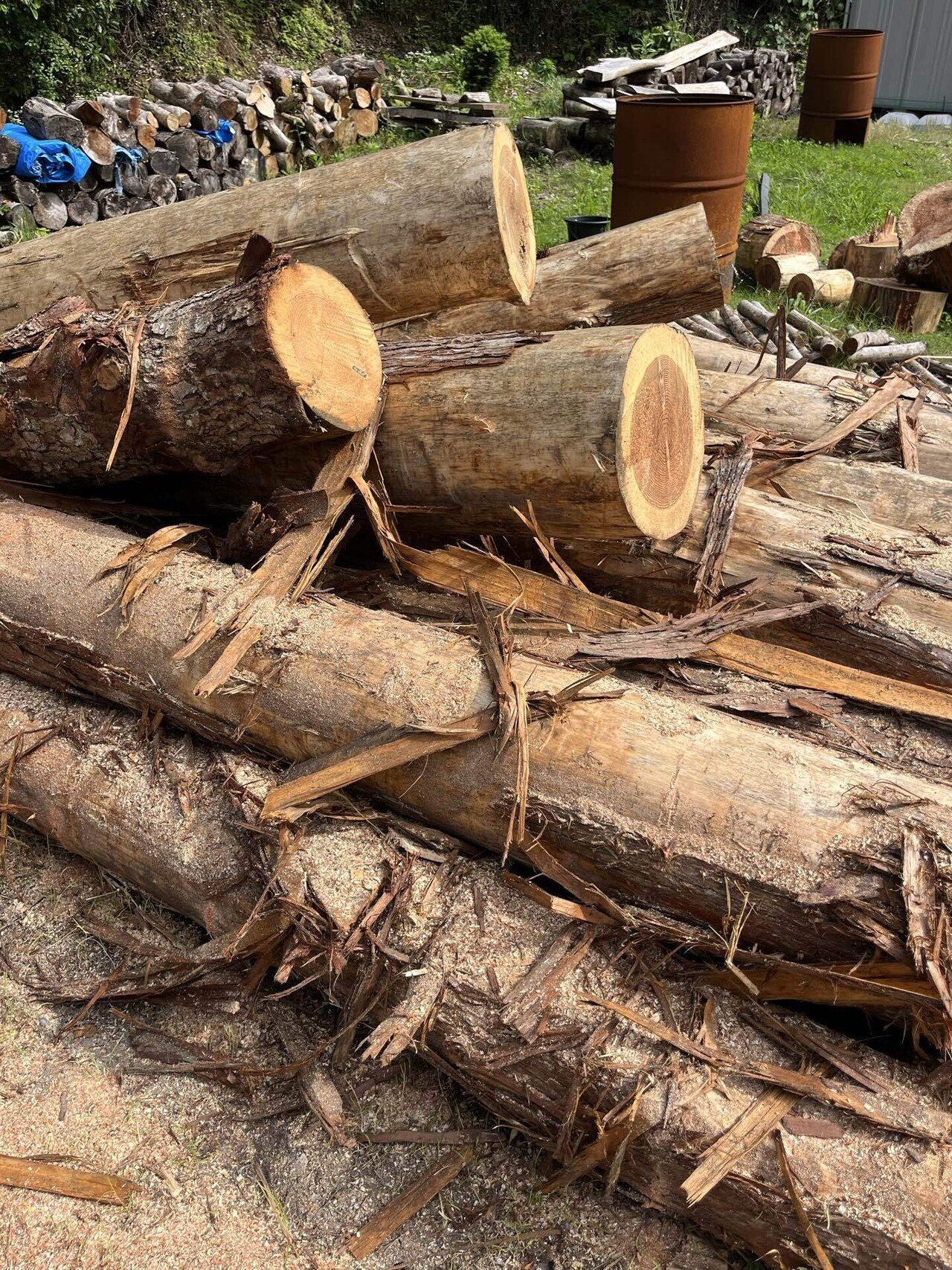 しいたけ原木　玉切り　薪　丸太　広葉樹 しいたけ原木 玉切り 薪 丸太 広葉樹