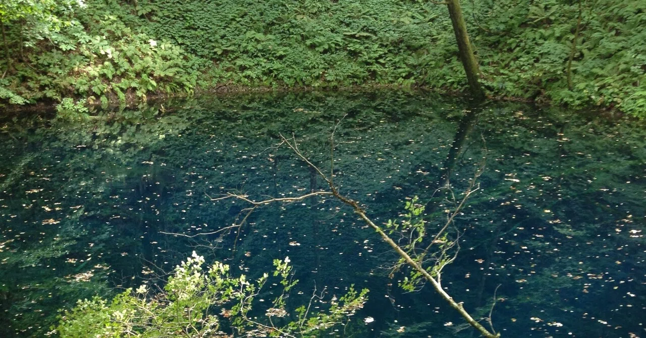 十二湖 | 青池 / Lake Juniko[Twelve Lakes] | Aoike Pond【2014】(Aomori, Japan ...