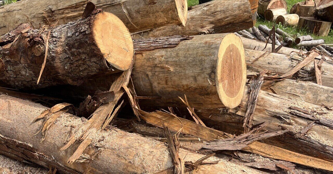 今日は玉切りDay｜丸太工房〜館山〜｜館山南房総の薪販売