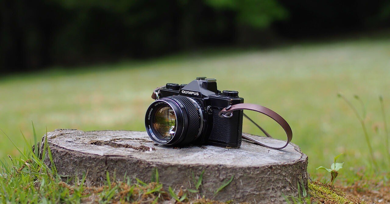 OLYMPUS OM-1 一眼レフカメラ 使っているカメラについて語ってしまおう（OLYMPUS OM-1）｜補助キヲク装置