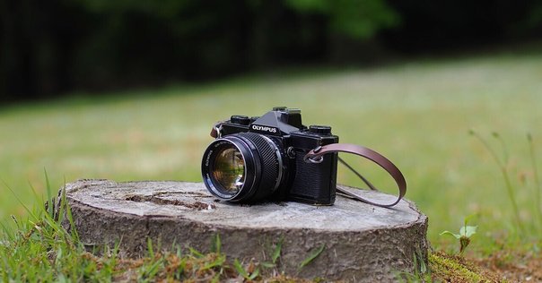ハーフフィルムカメラ OLYMPUS PEN Sで一気に60枚撮っちゃった