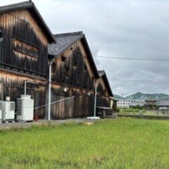 追われ者 こうしてボクは上場企業社長の座を追い落とされた