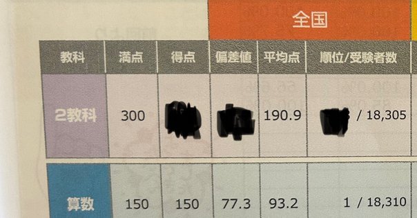 小5の娘、2025年1月最終週の勉強計画【サピックスα1 中学受験の