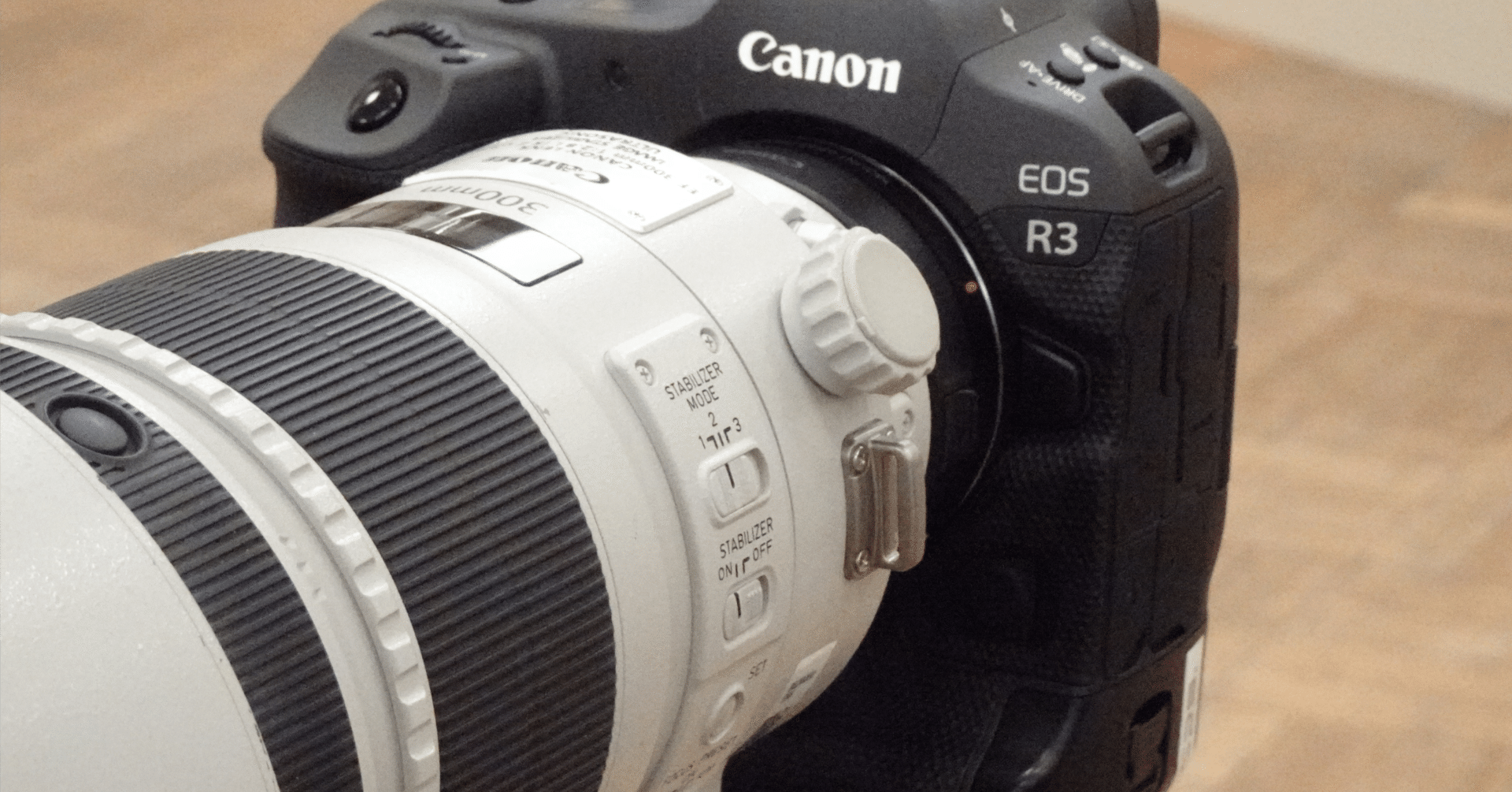 予算10万円以内！初心者向けCanonミラーレスカメラおすすめ3選【写真