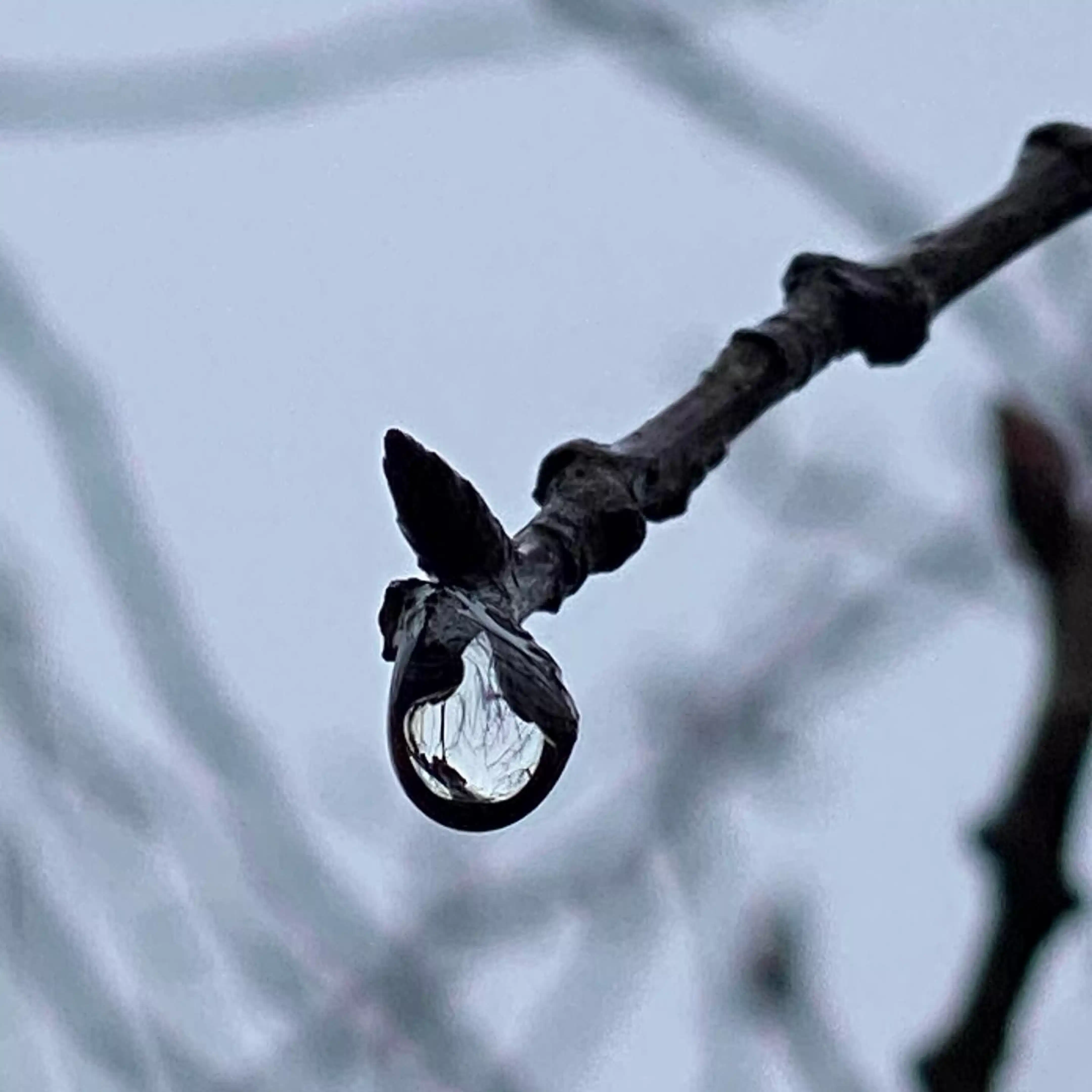 十雨